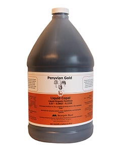 PERUVIAN GOLD LIQUID COPAL